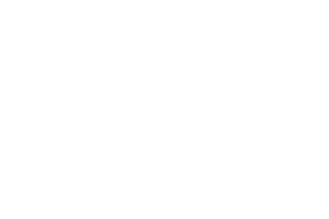 deVolksbank logo 