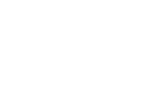 ESP Group logo 
