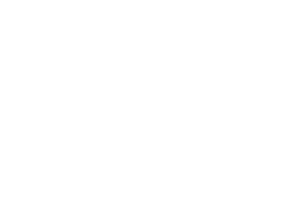 Graphisoft logo 