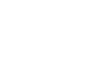 VoiceAbility logo 