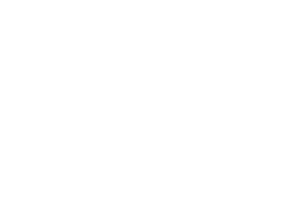 Transcom logo 