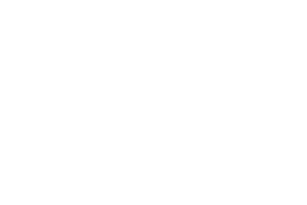 standard bank logo 